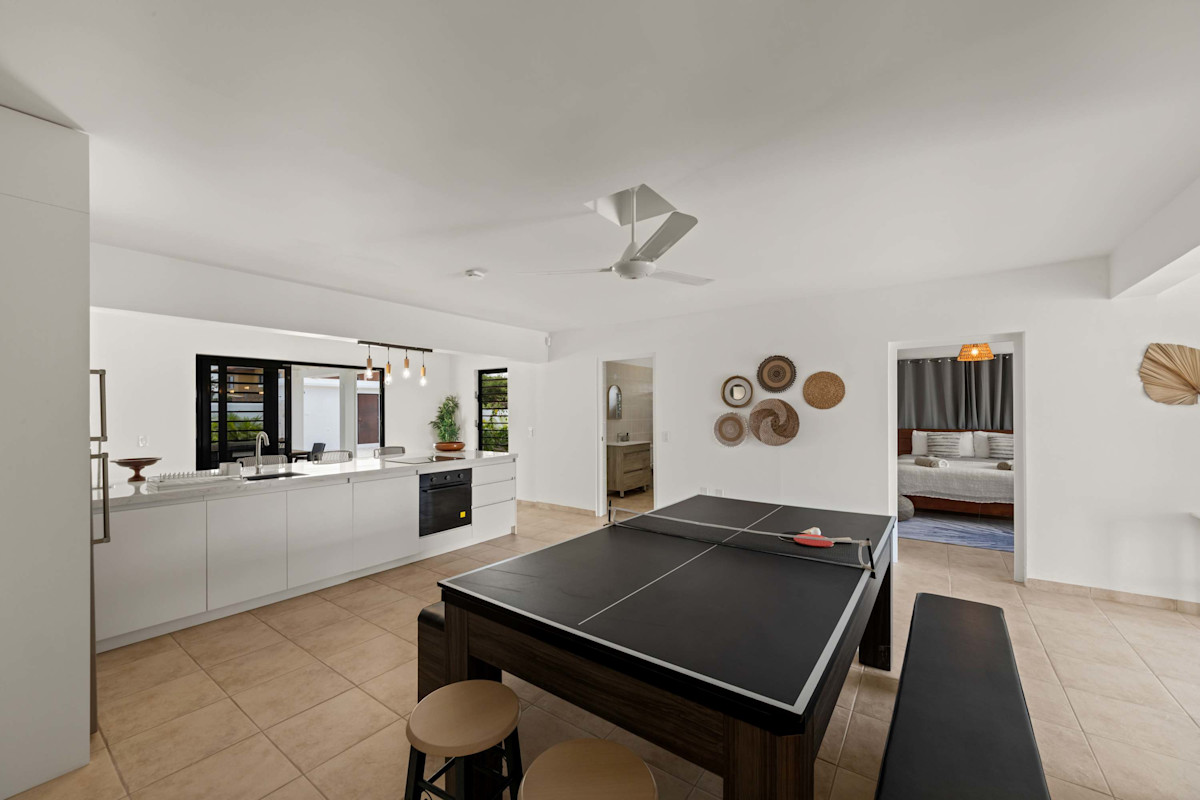 convertible table tennis/ pool table