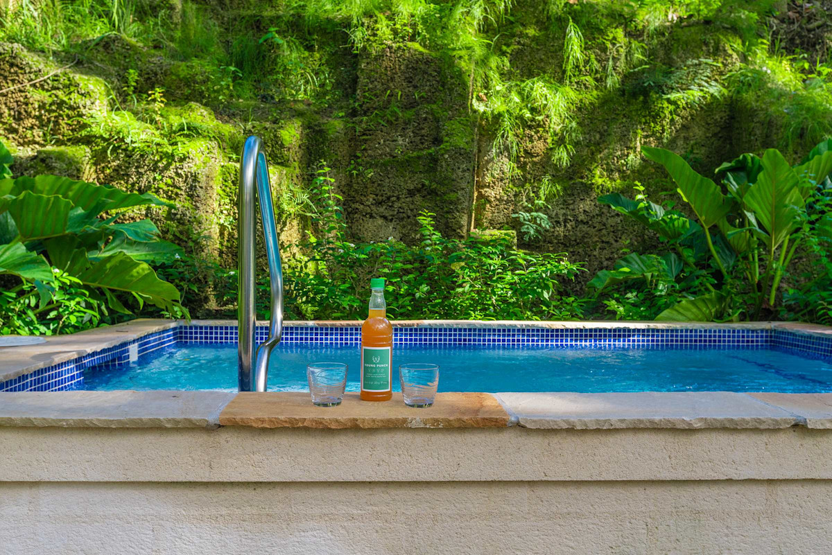 Parnassus Cottage property image
