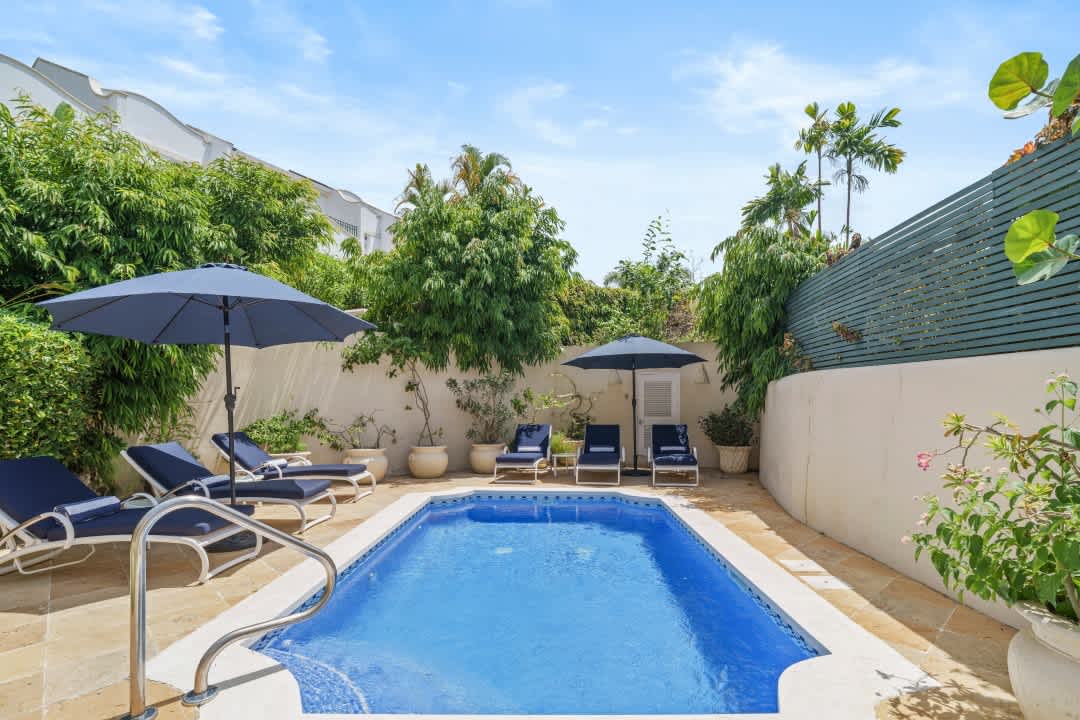 Monkey View property image