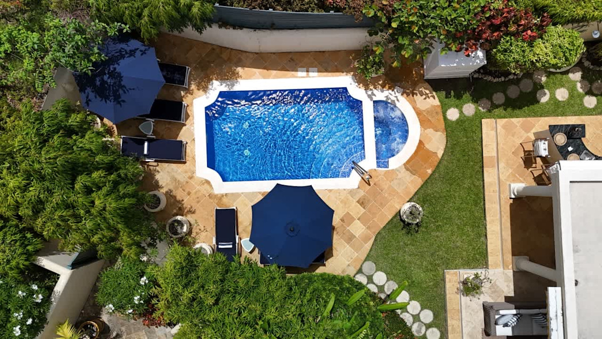 Monkey View property image