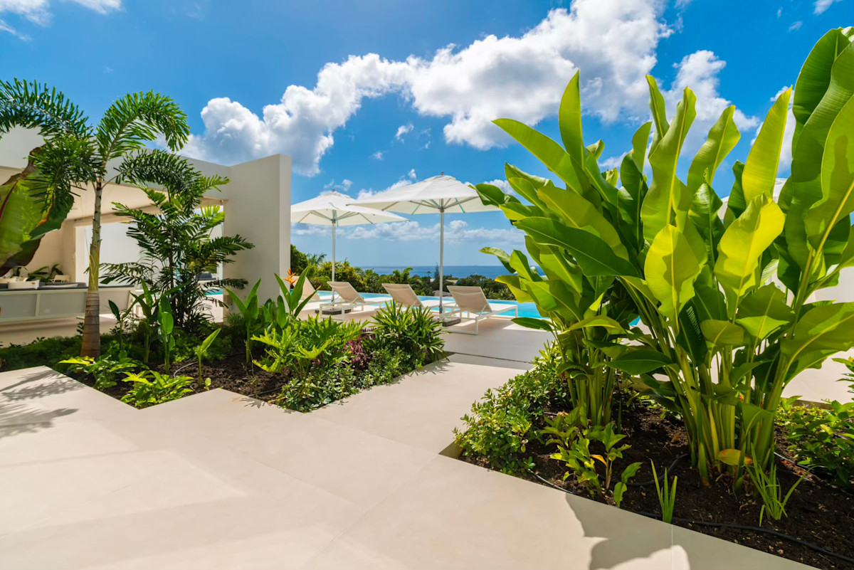 Monkey Ridge property image