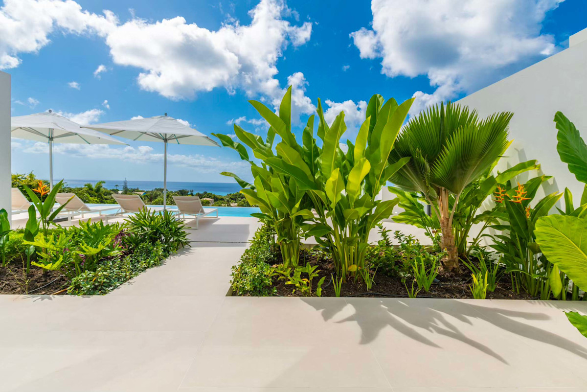 Monkey Ridge property image