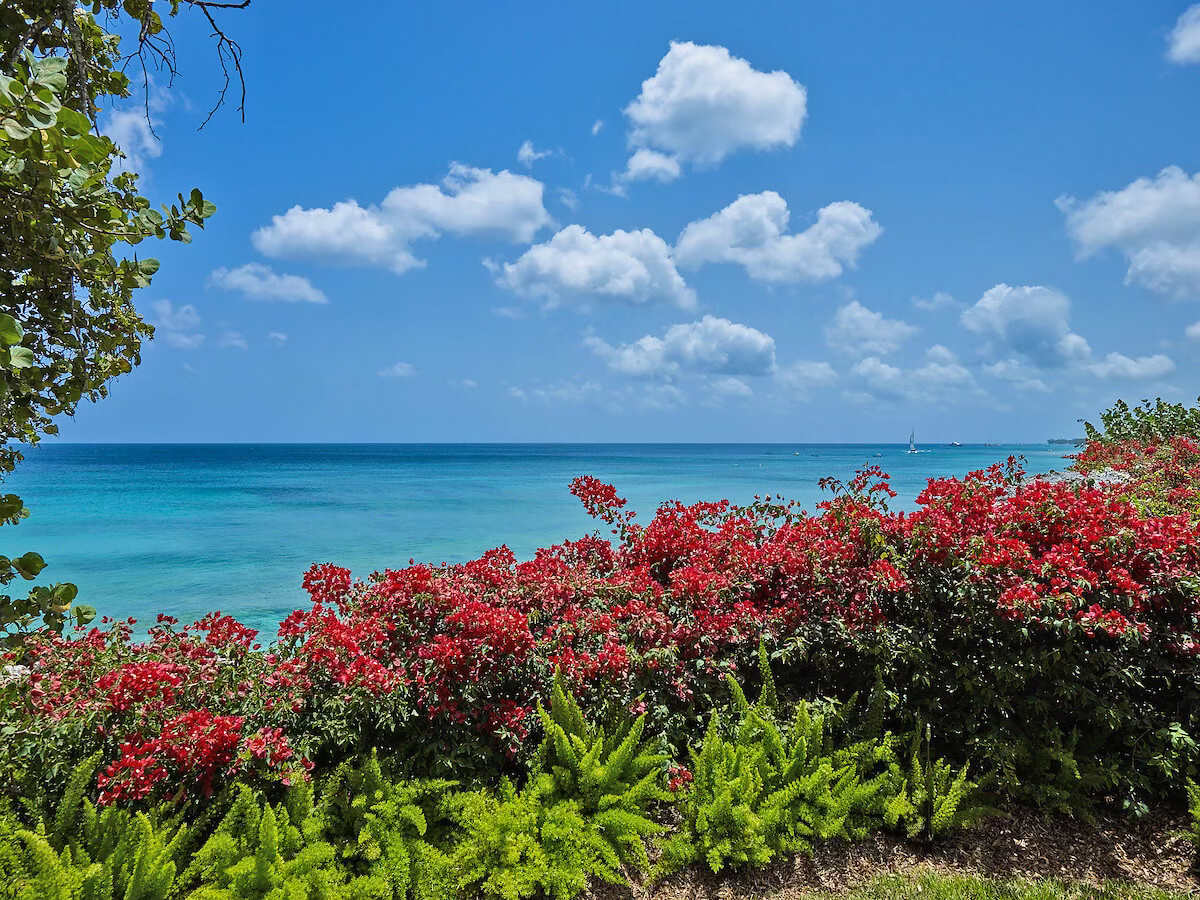 Seaclusion property image