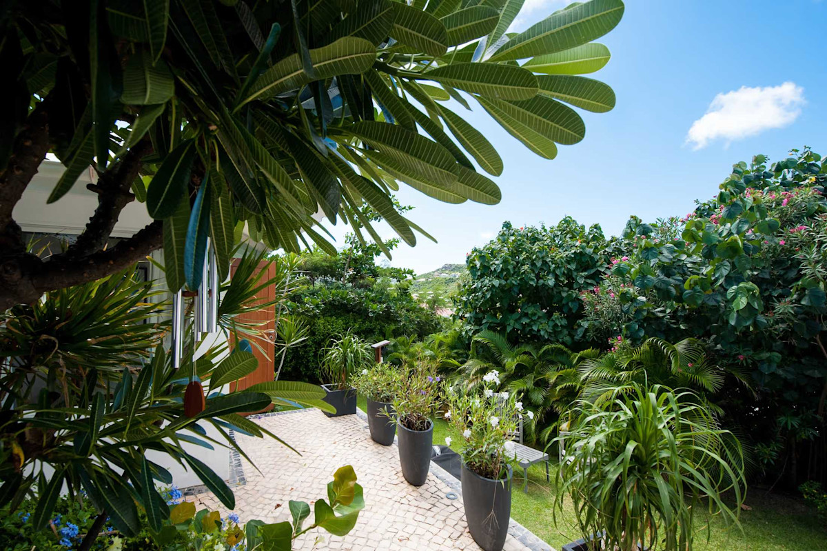 Caribbean Breeze property image