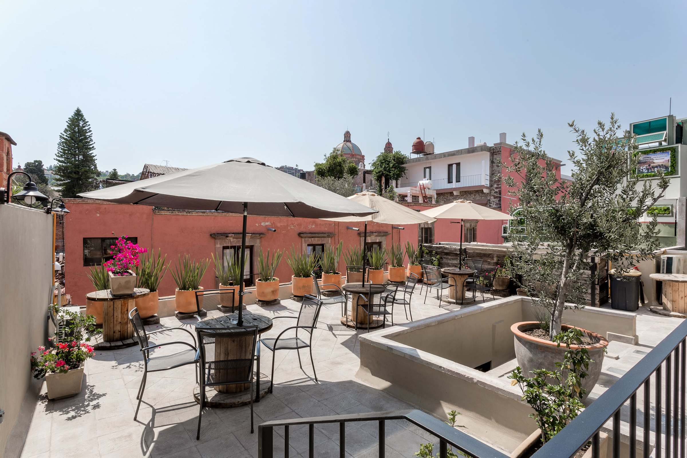 Shared Rooftop Terrace