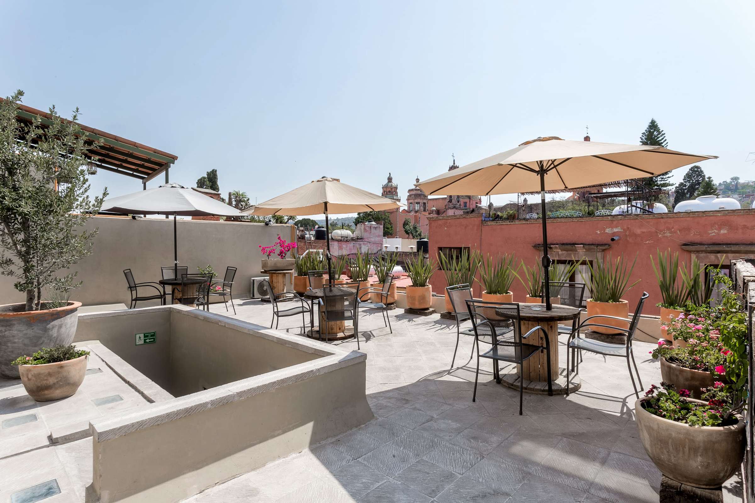 Shared Rooftop Terrace