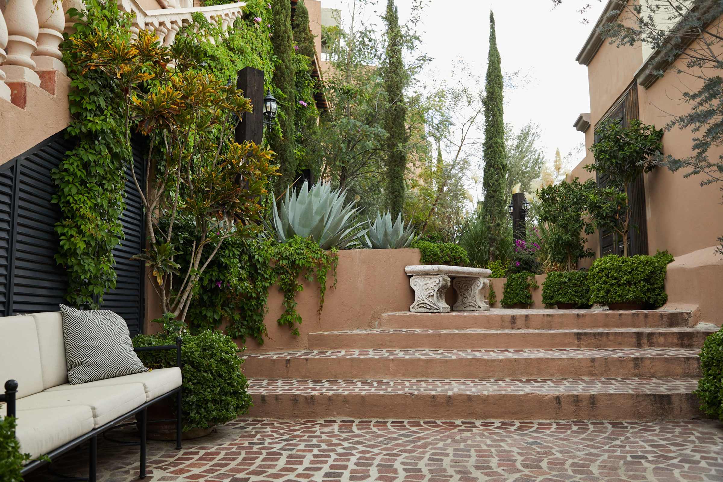 Garden pathway with lush plants and stone steps