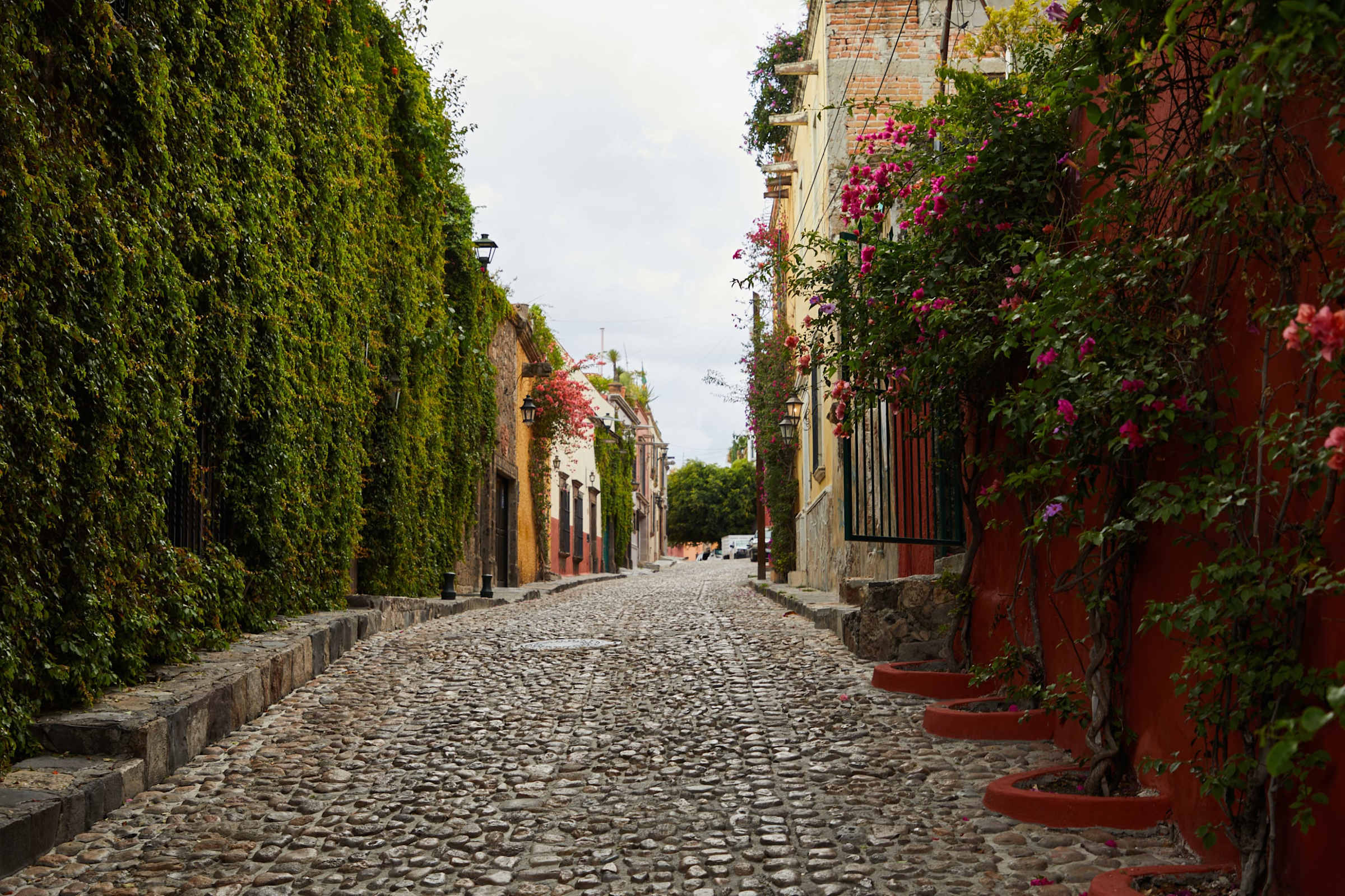 Cobblestone street lined with bougainvillea near the villa
