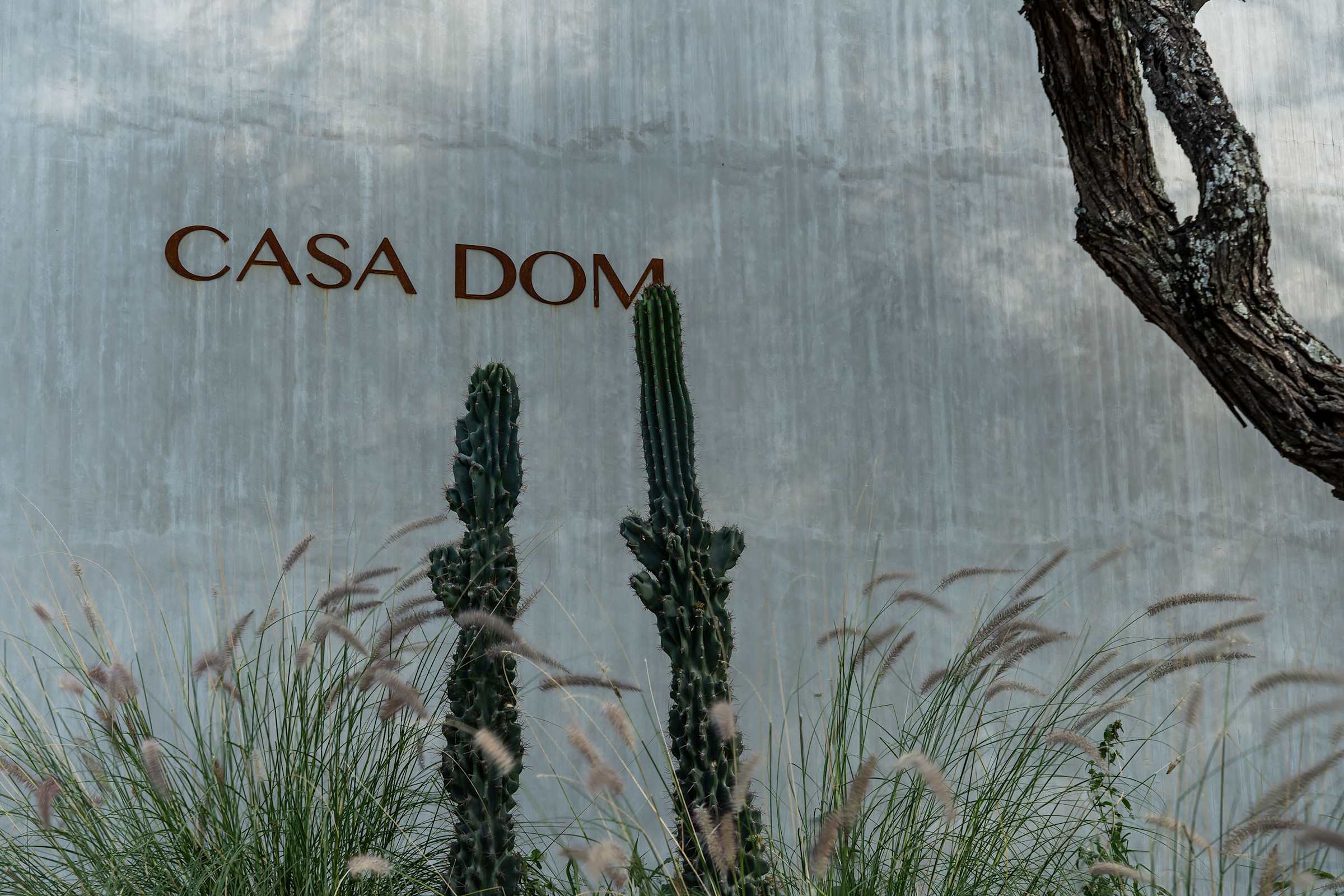 CASA DOM: Tranquil Retreat in the Mountain Desert 7
