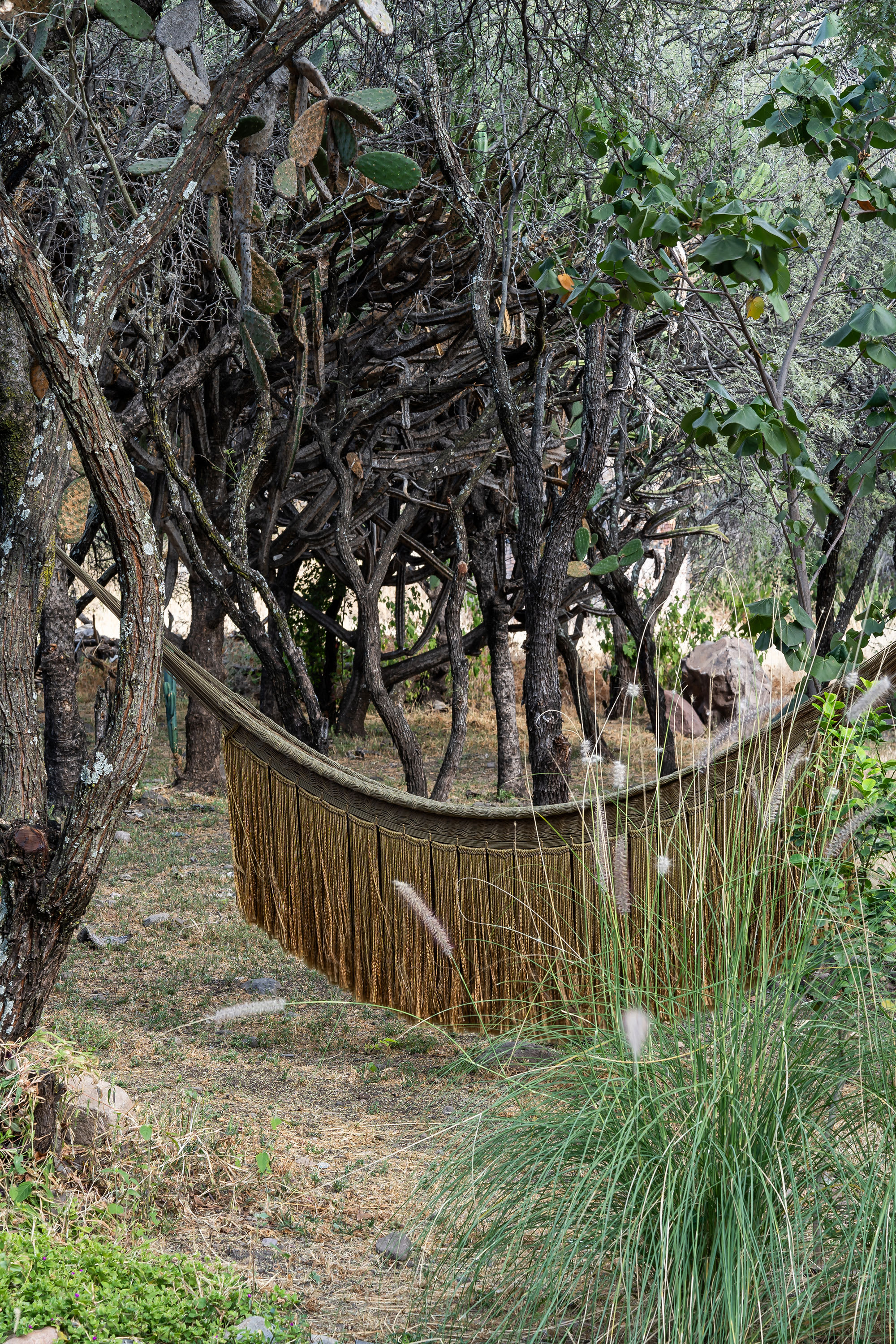 CASA DOM: Tranquil Retreat in the Mountain Desert 35