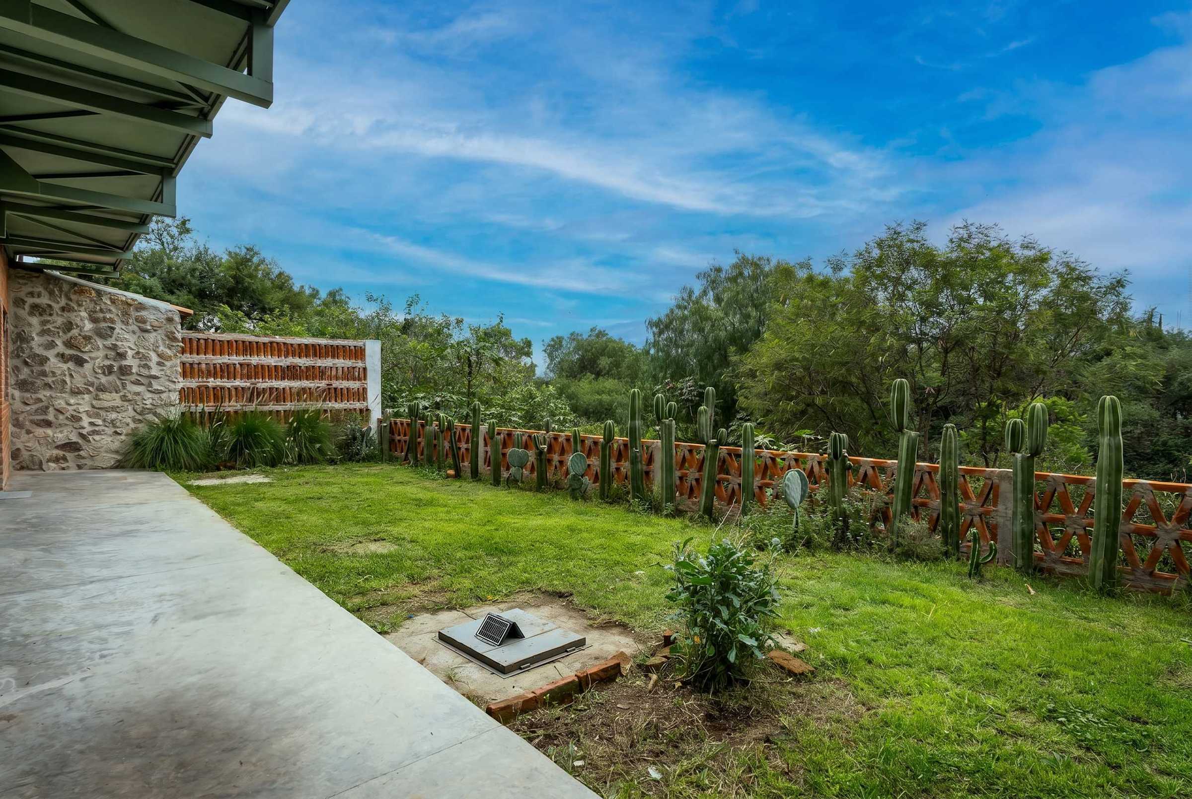 Lush garden and green space with mature trees under blue skies