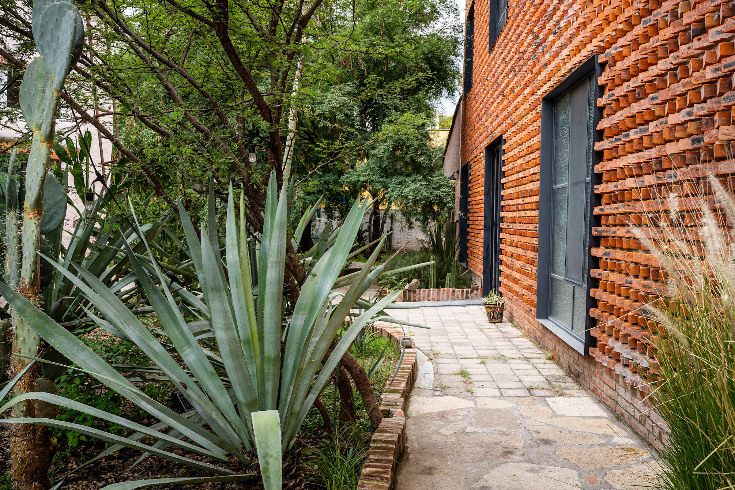 Garden walkway with stone path and agave plants