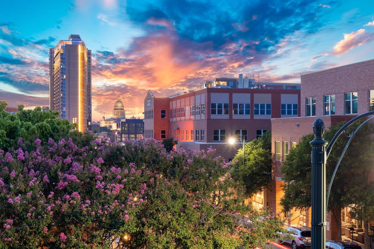 Texas State Capitol views