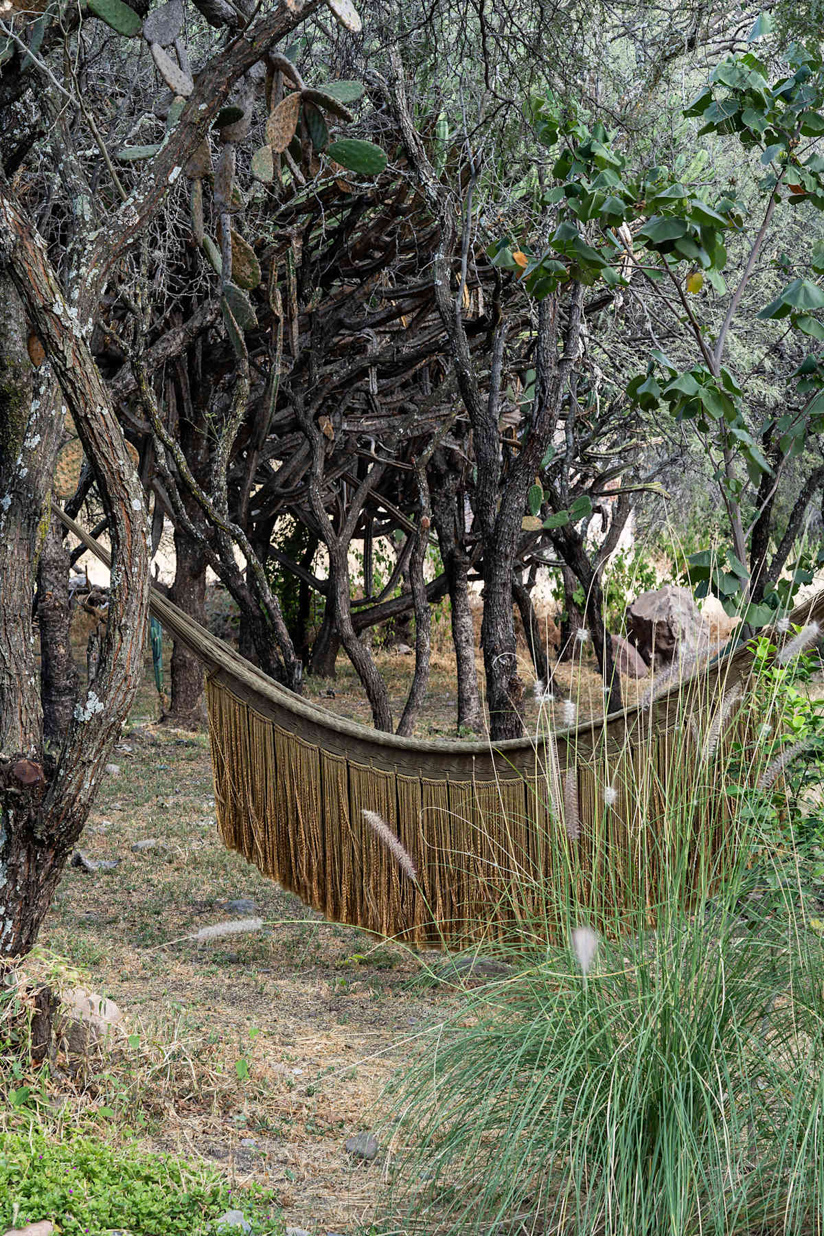 CASA DOM: Tranquil Retreat in the Mountain Desert · photo 35
