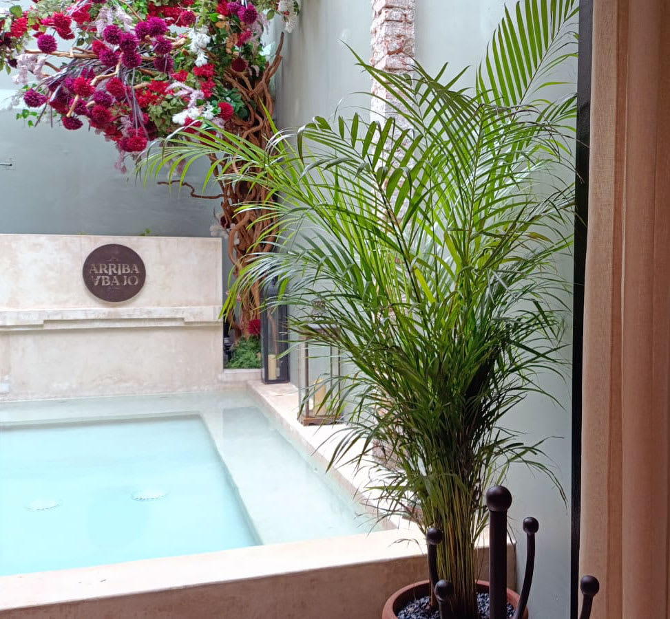 2BR Apt 1st Floor Centro, Best Location w/ Jacuzzi Lounge · photo 24
