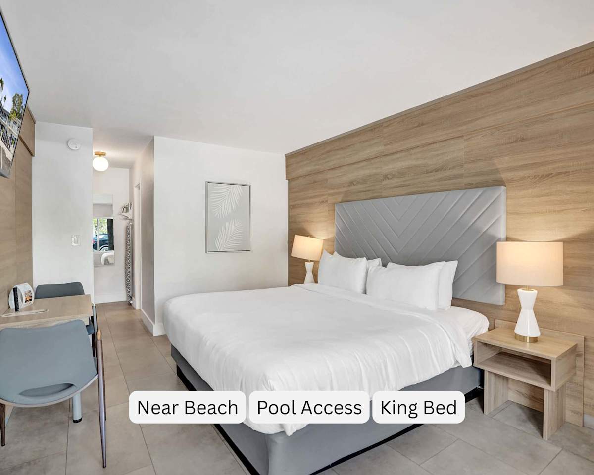 Boutique King Room at Aloe | The Botanica