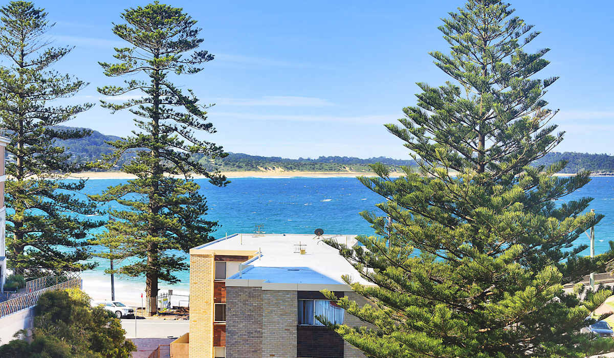 Pine Tree Penthouse