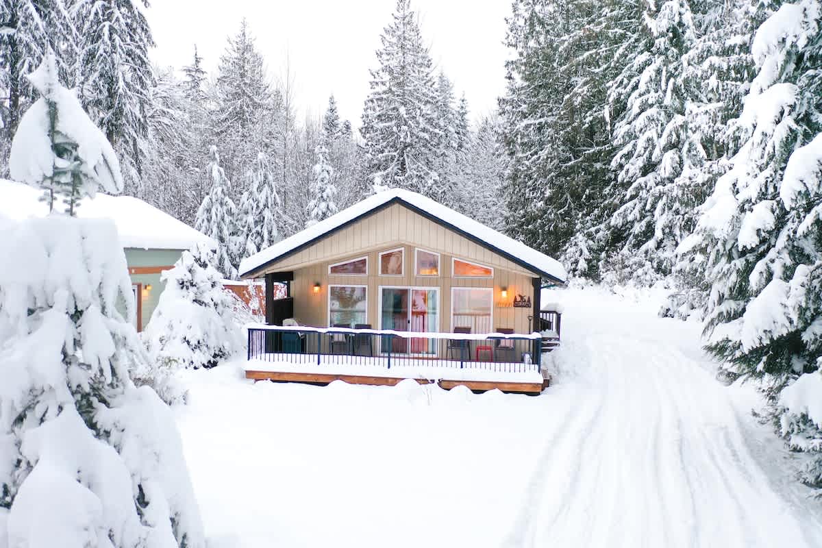 Mountain Cabin in the Snow!