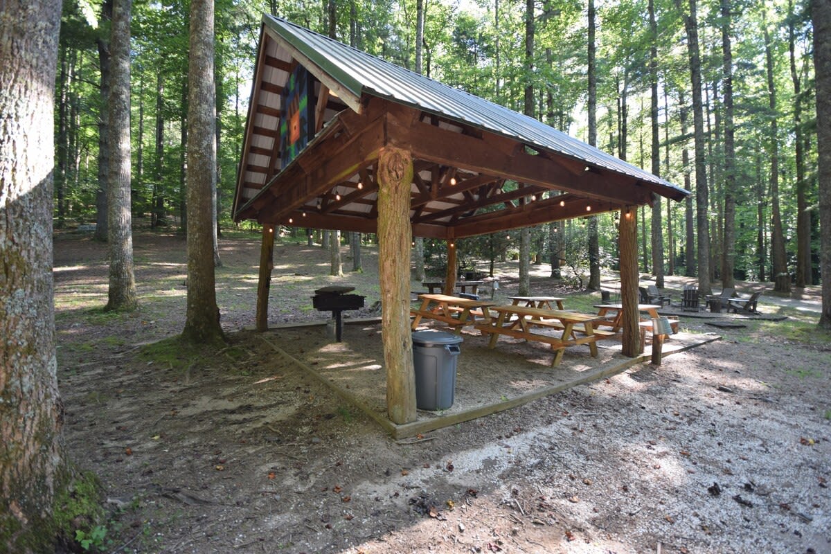 Cabin Fever