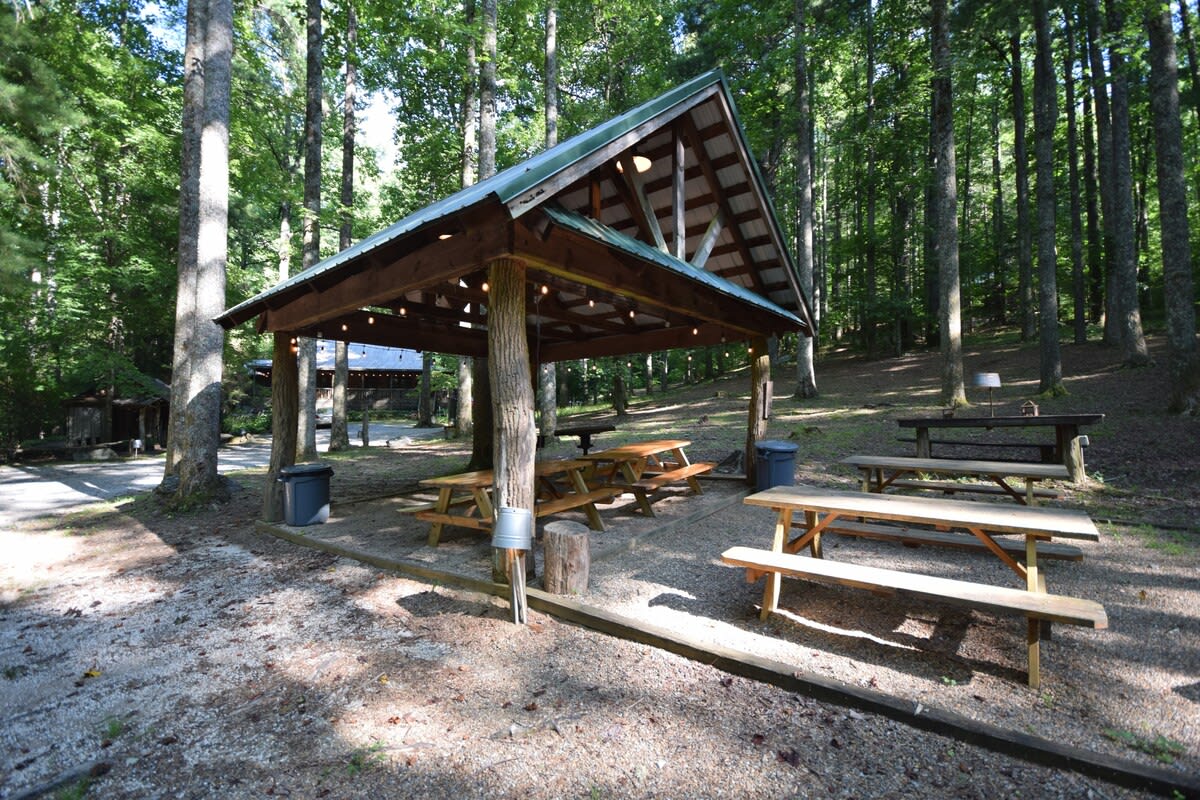 Cabin Fever