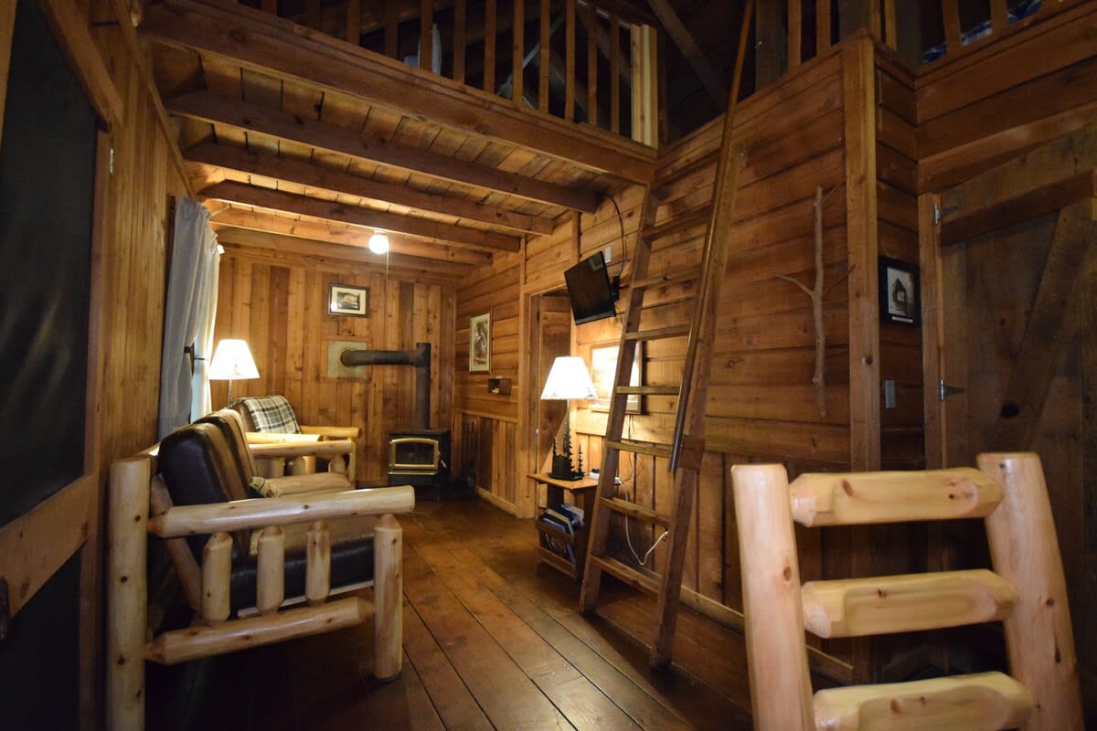 Cabin 6