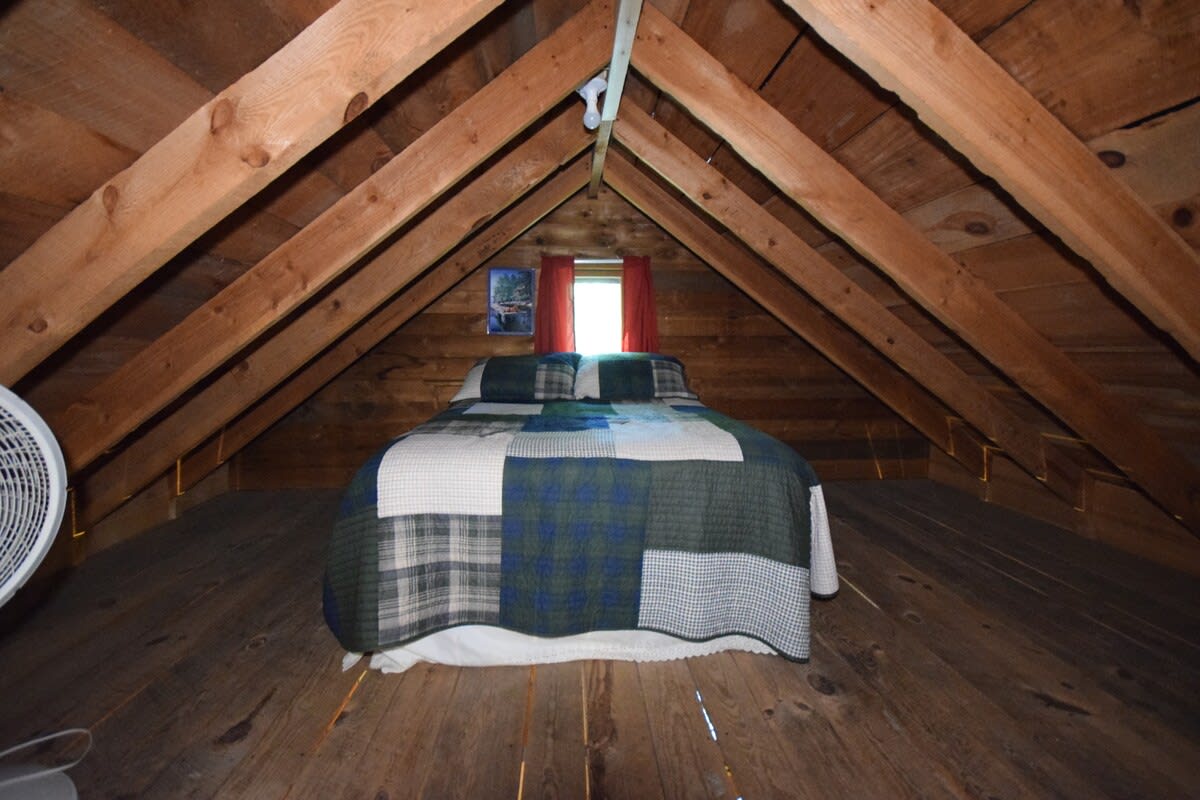 Cabin 6