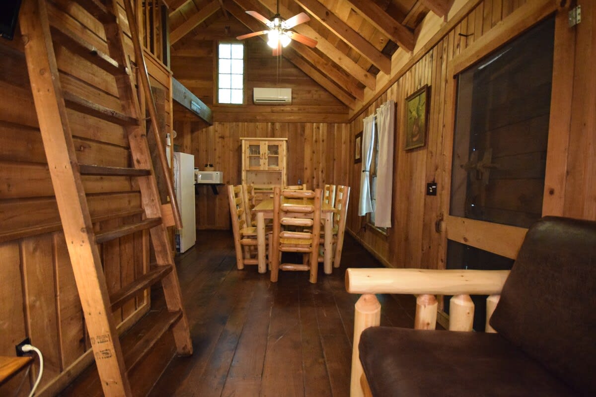 Cabin 6