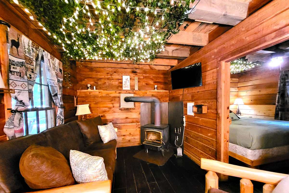 Cabin 5