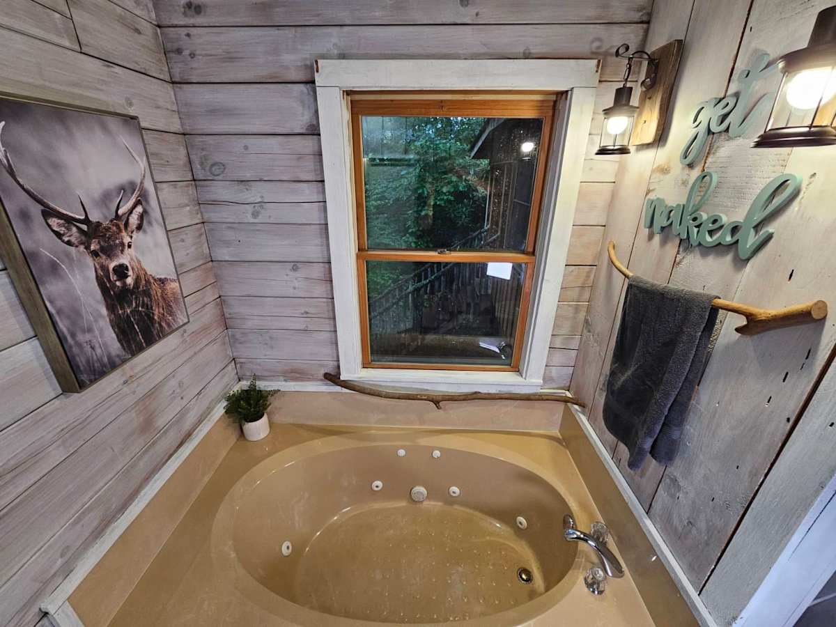 Cabin 7