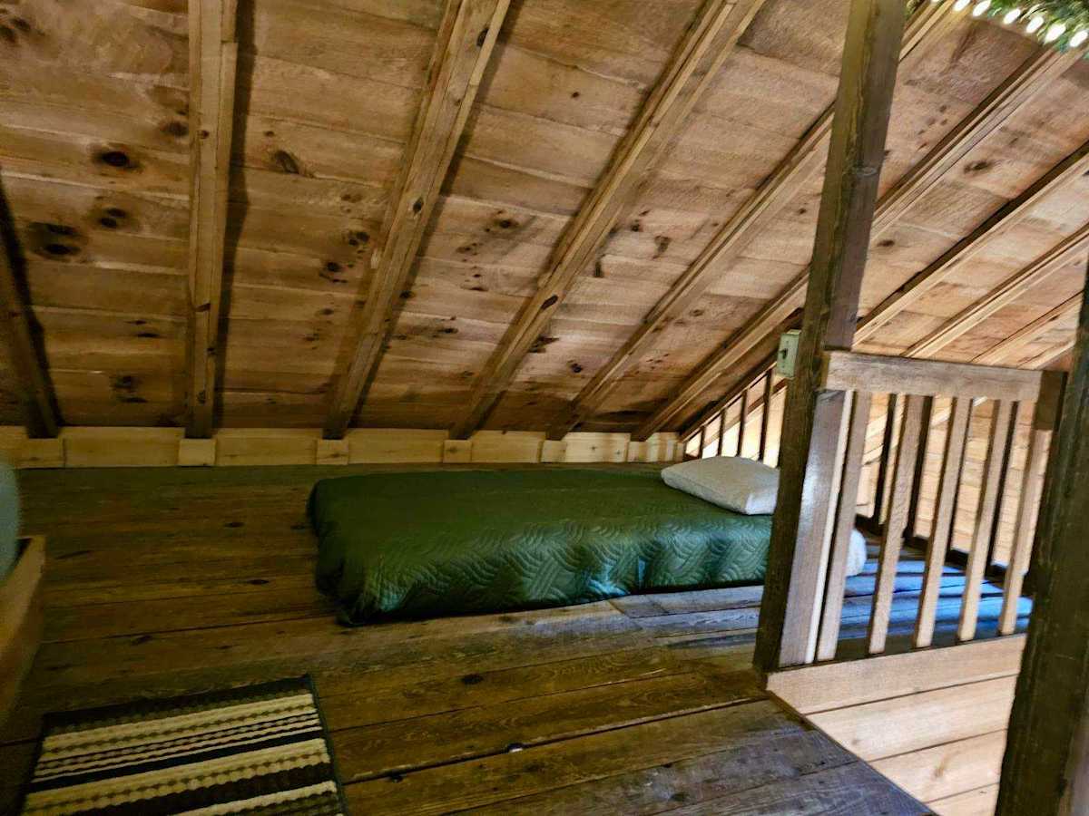 Cabin 5