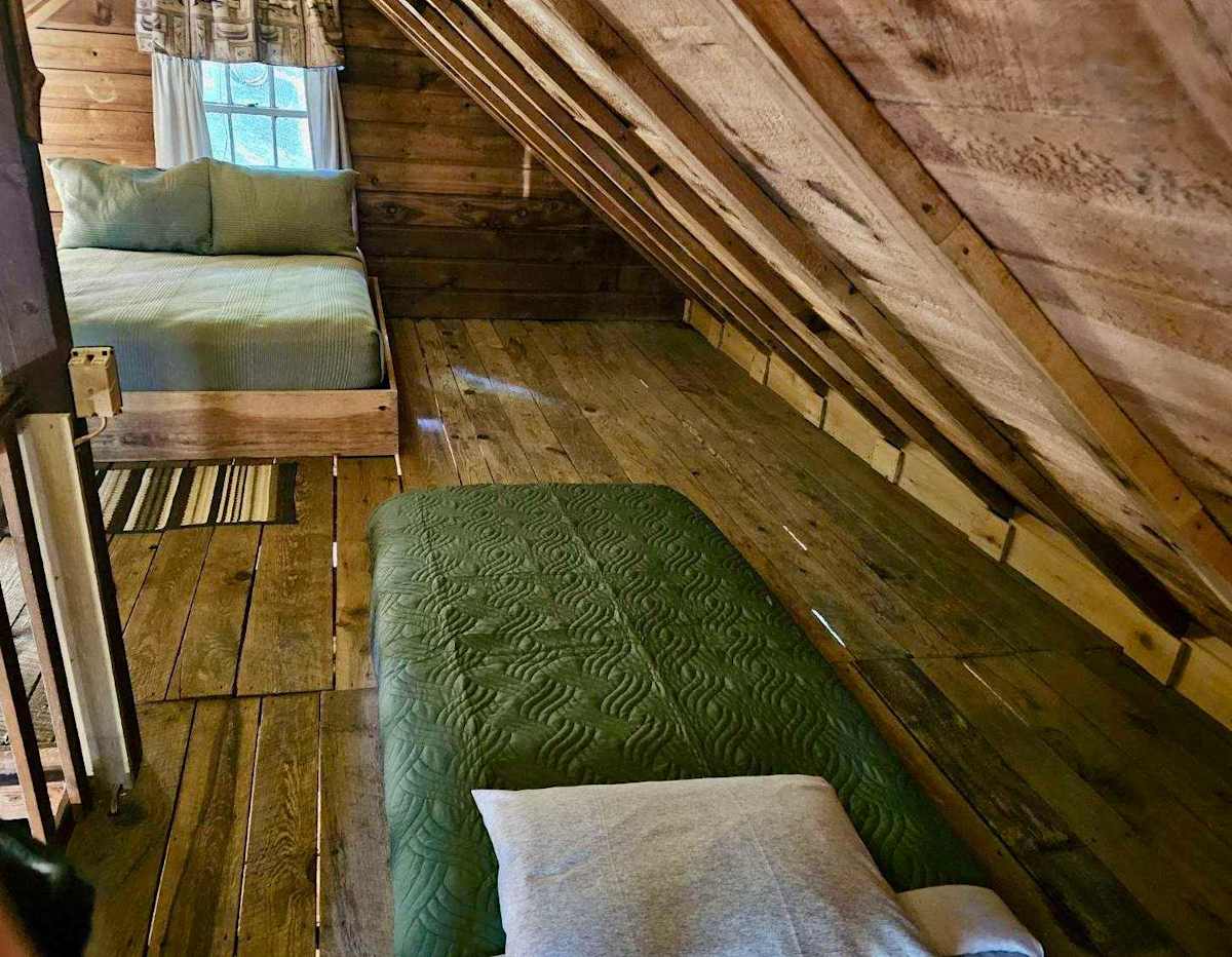 Cabin 5