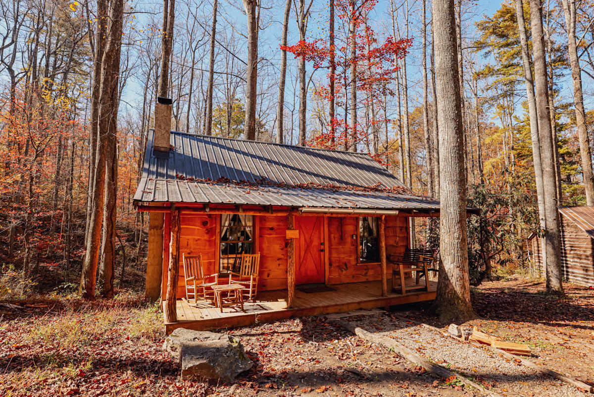 Cabin 5