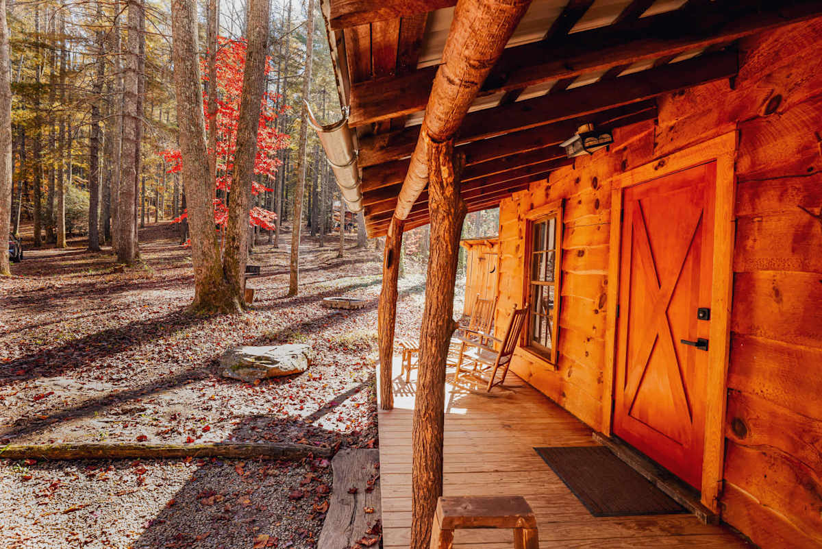Cabin 5