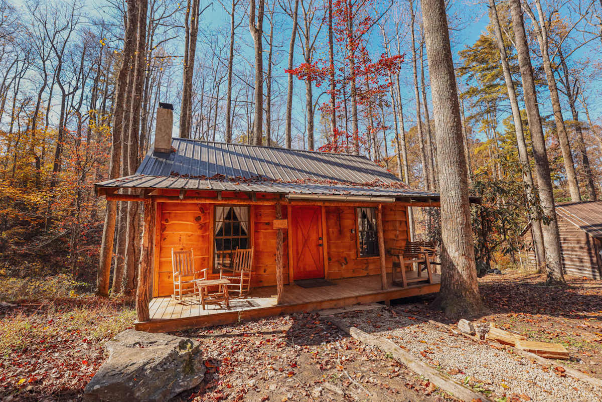 Cabin 5