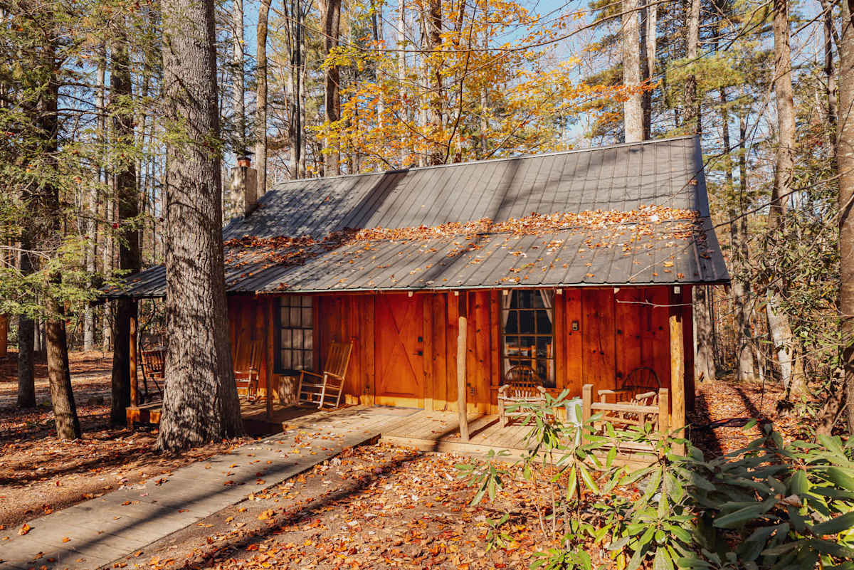 Cabin 6