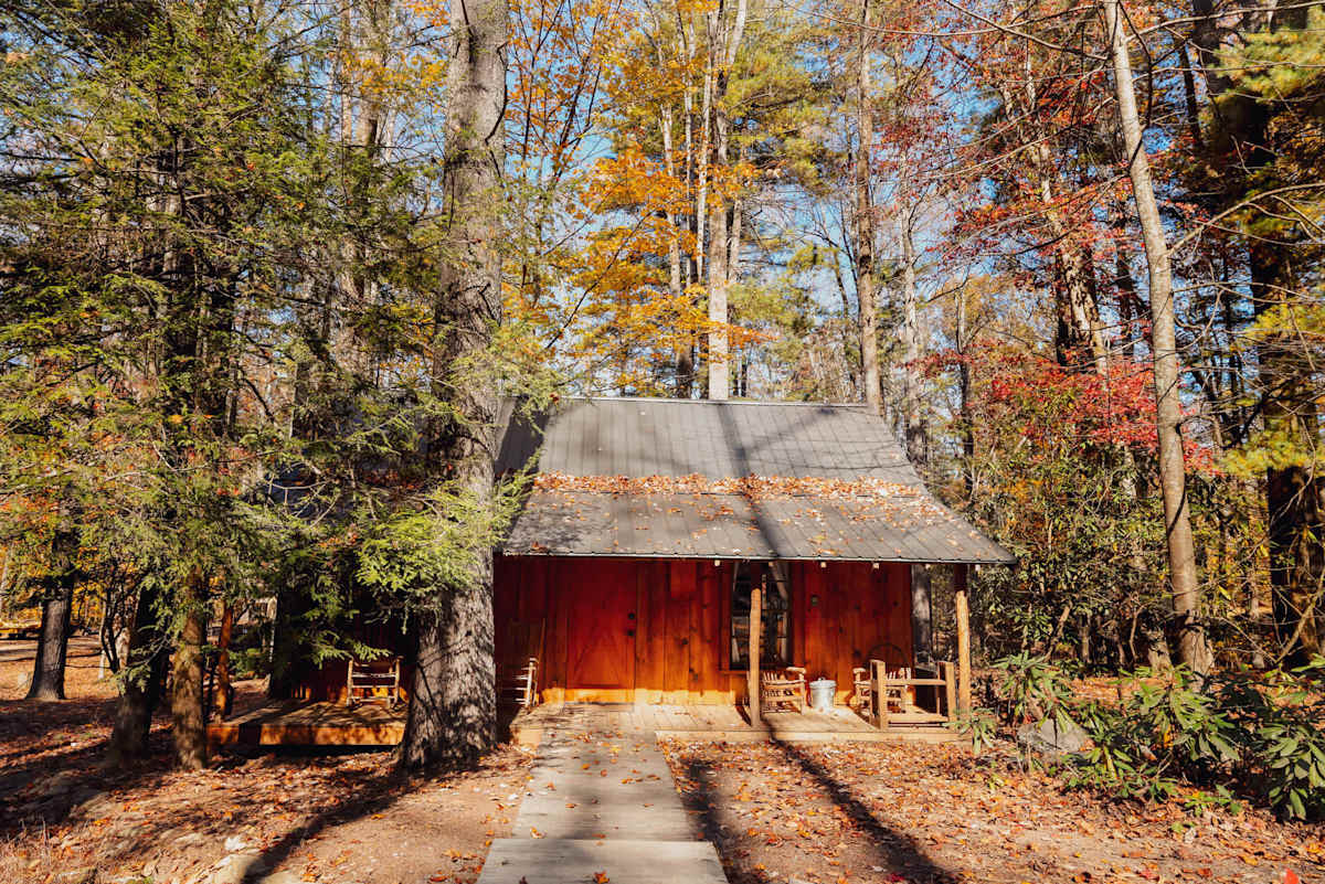 Cabin 6