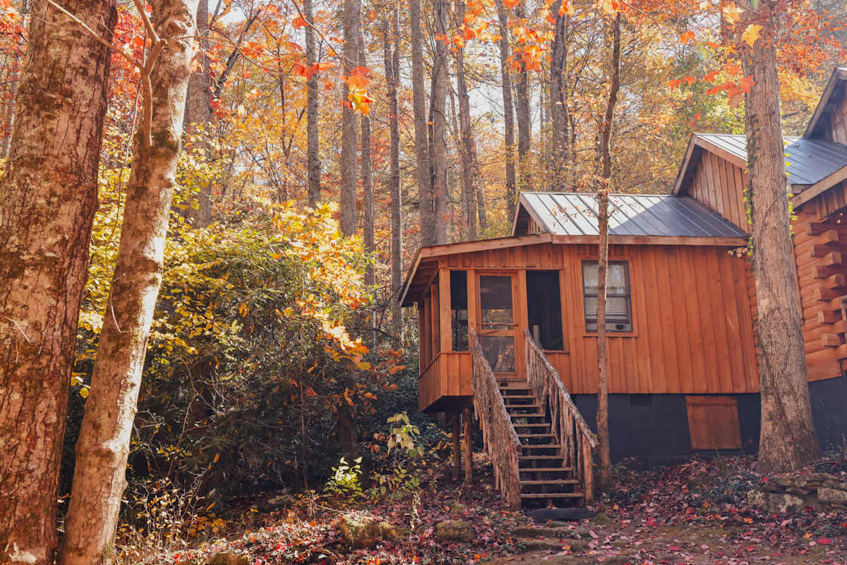 Cabin 7