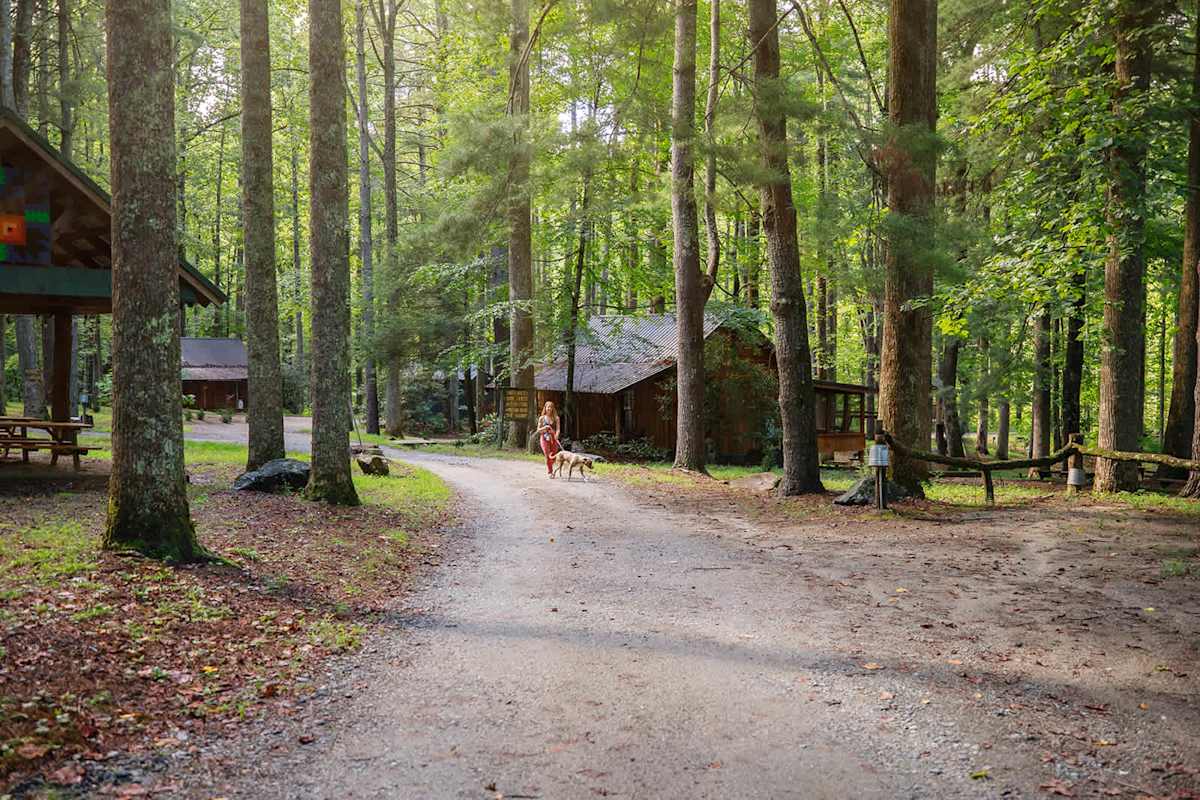 South Fork photo 23