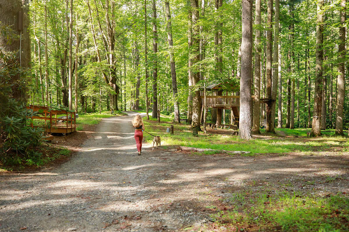 South Fork photo 9