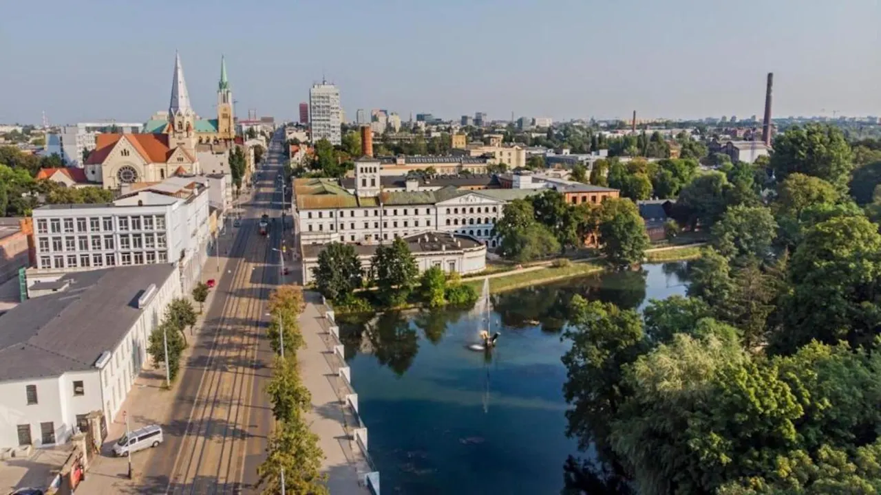 Zdjęcie 25 z 26