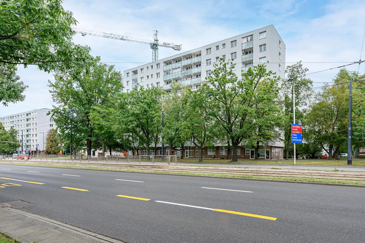 Zdjęcie 41 z 47