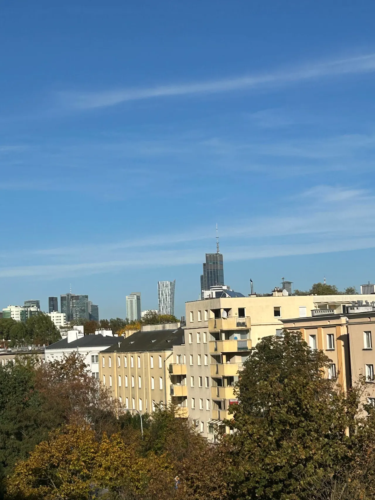 Zdjęcie 4 z 20