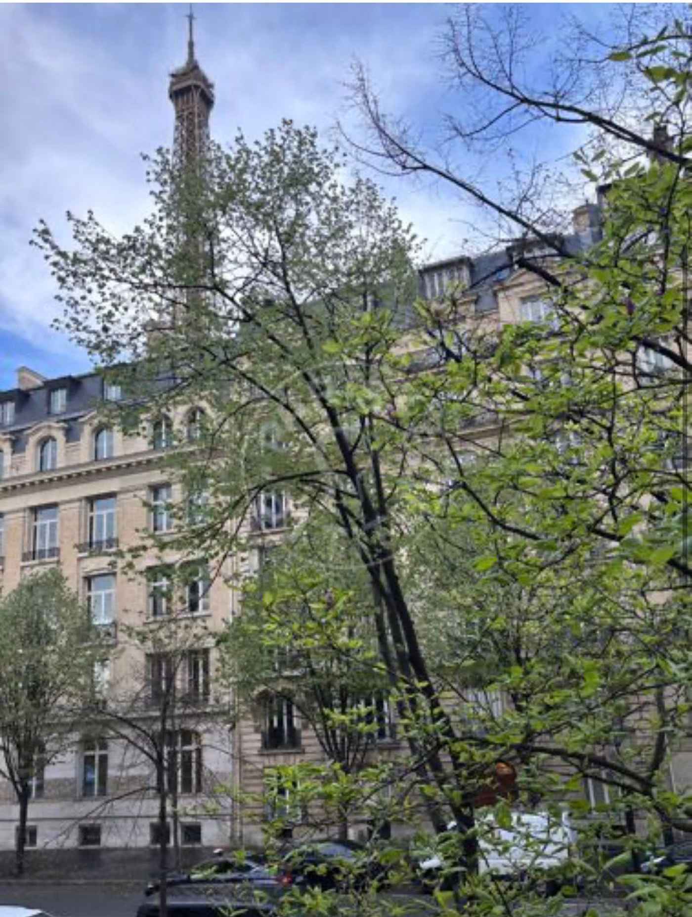 Avenue de Suffren, Eiffel Tower — living area