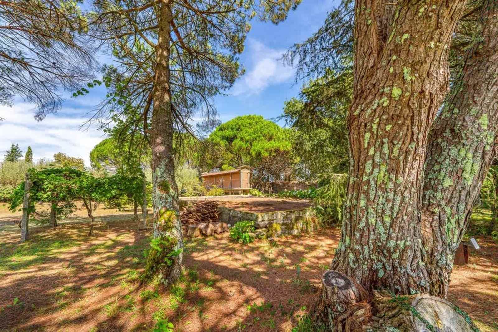 Portugal Active Oliveira's Farm – luxury villa in Minho Coast, Portugal – image 8