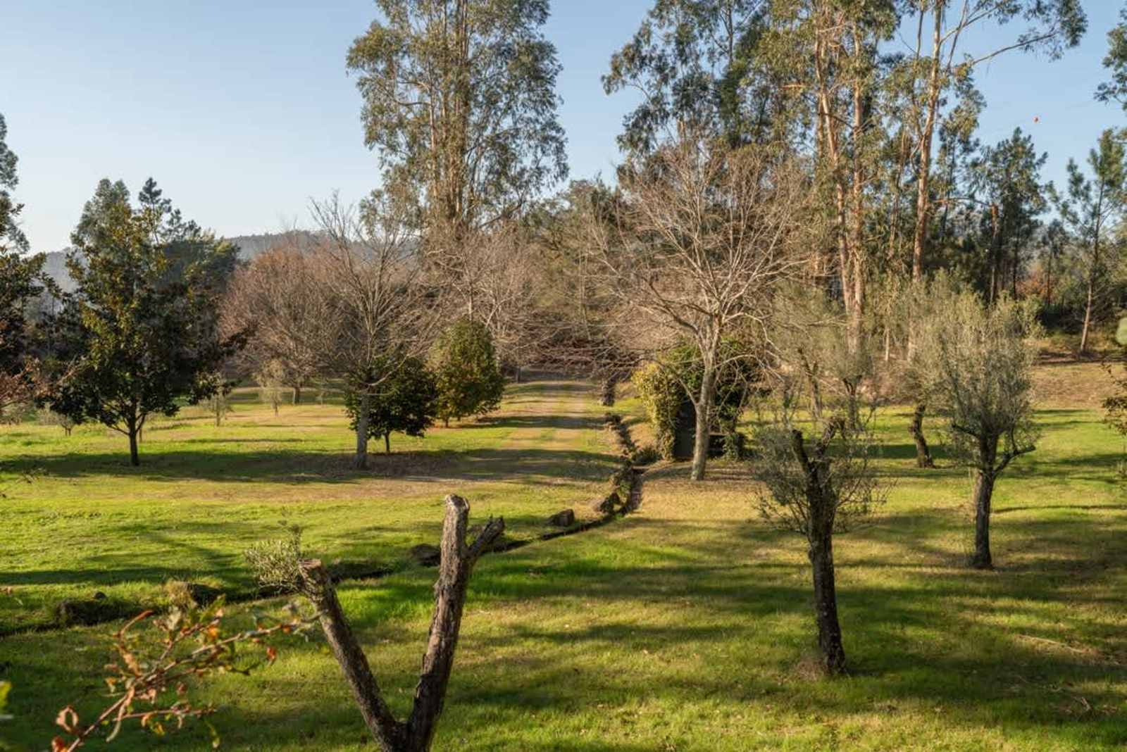 4 Sao Juliao Retreat I Pool, Jacuzzi and Garden Escape Villa – luxury villa in Minho Coast, Portugal – image 80