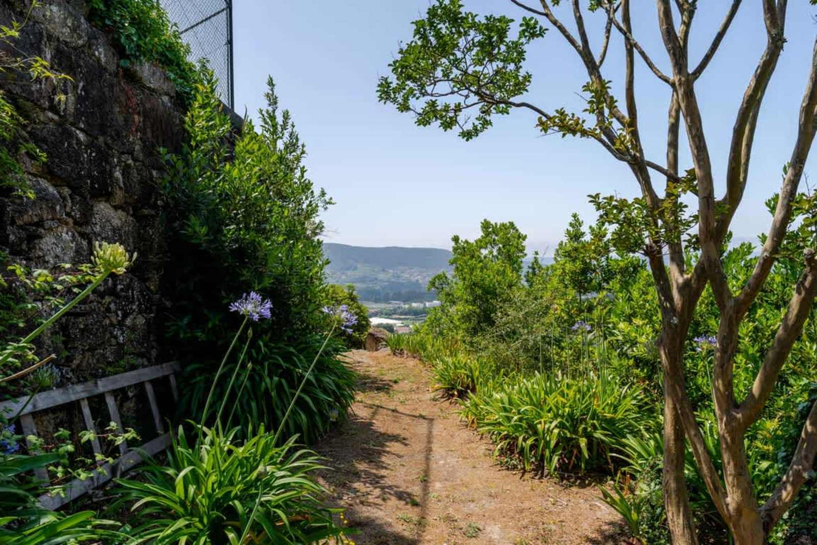 Fountain Retreat I Pool & Sports Escape – luxury villa in Minho Coast, Portugal – image 99