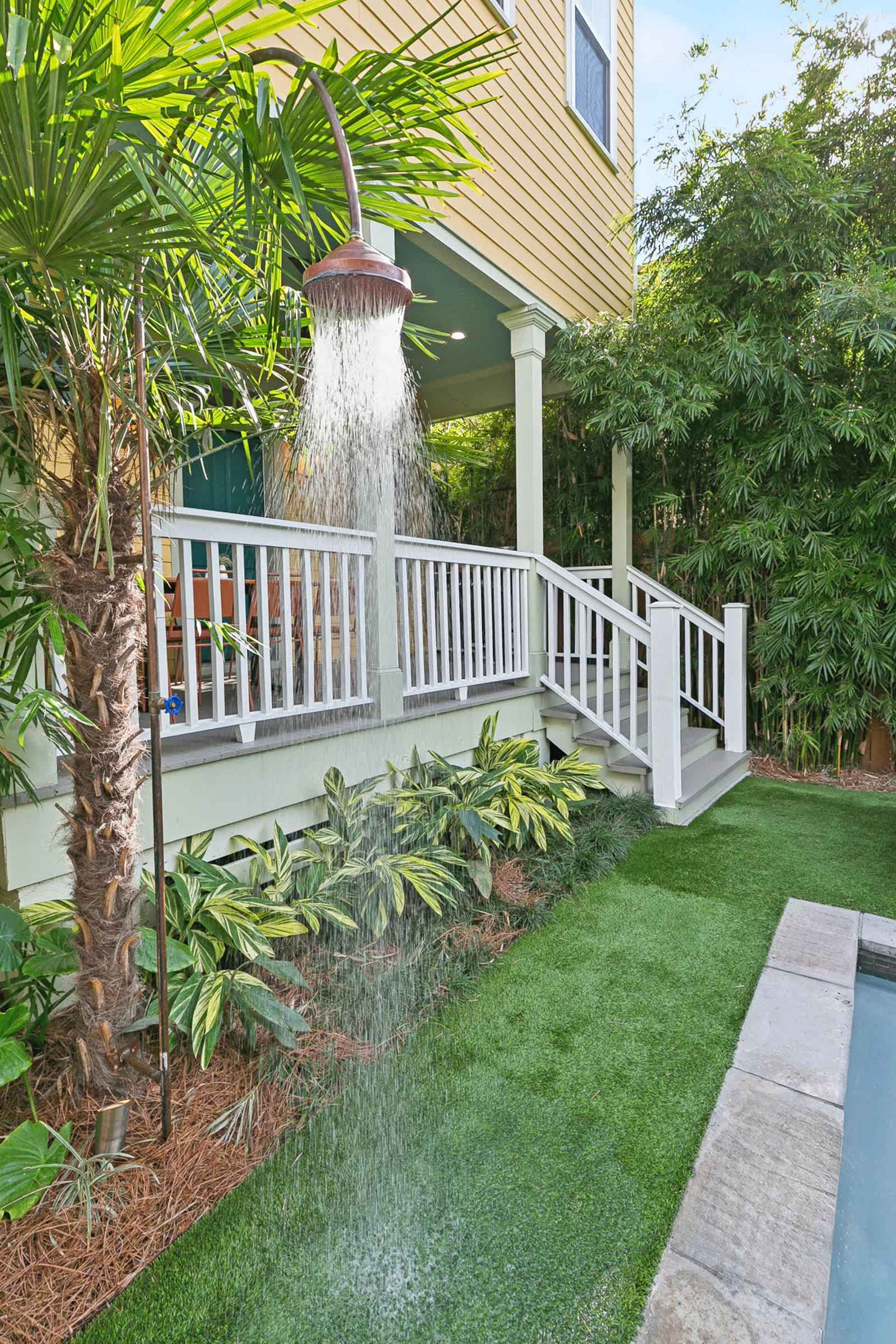 Modern Swamp, photo 47 of 67