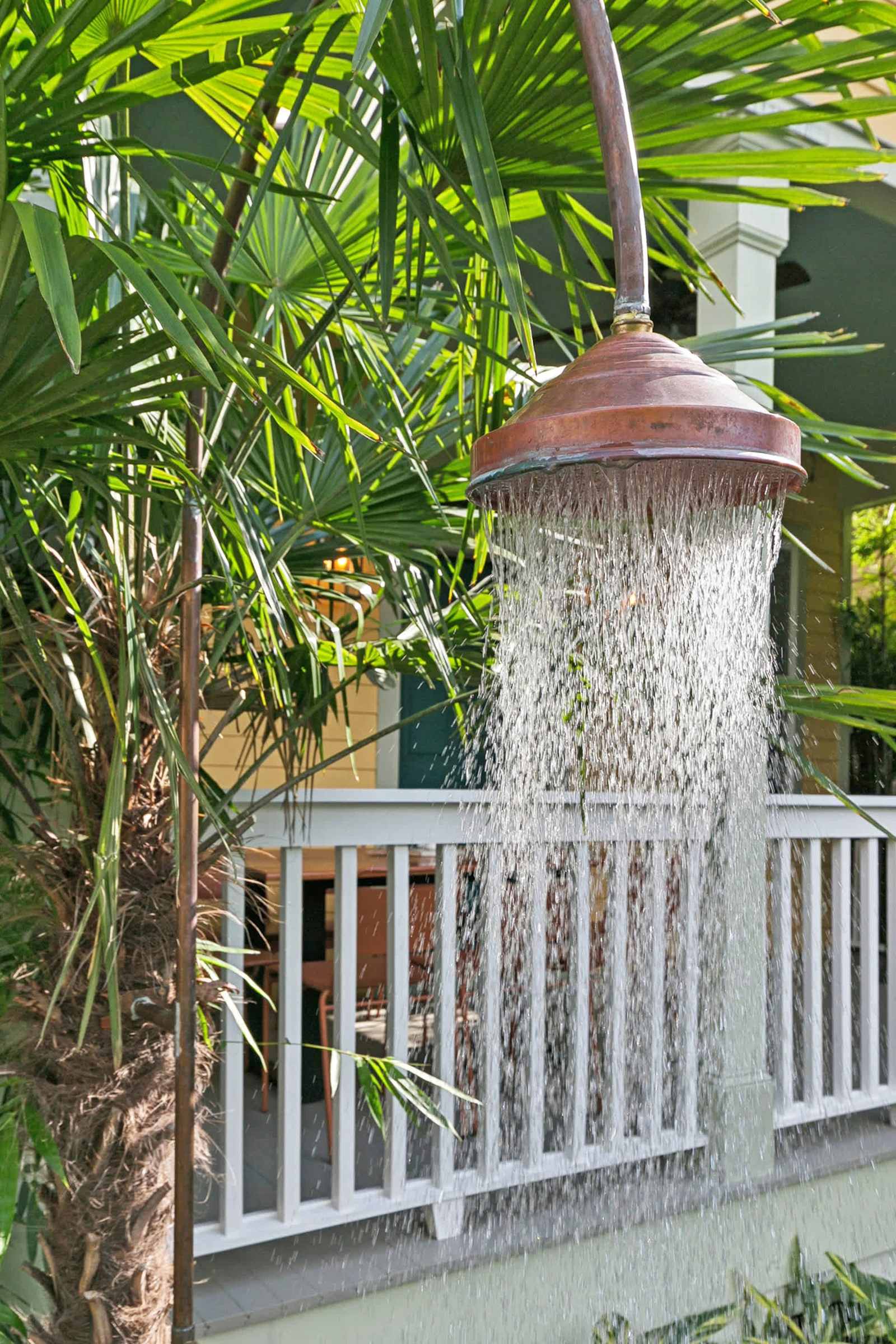 Modern Swamp, photo 46 of 67