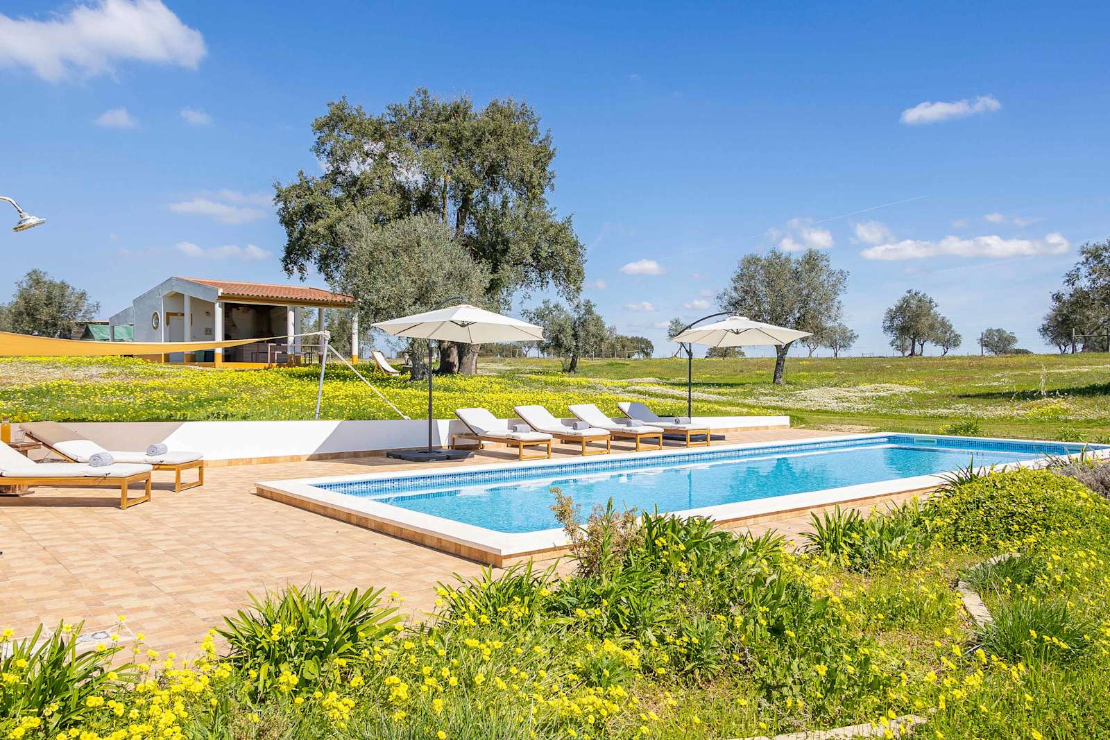Alentejo Rural Farmhouse with Heated Pool & Total Privacy – luxury villa in Alentejo, Portugal – image 5