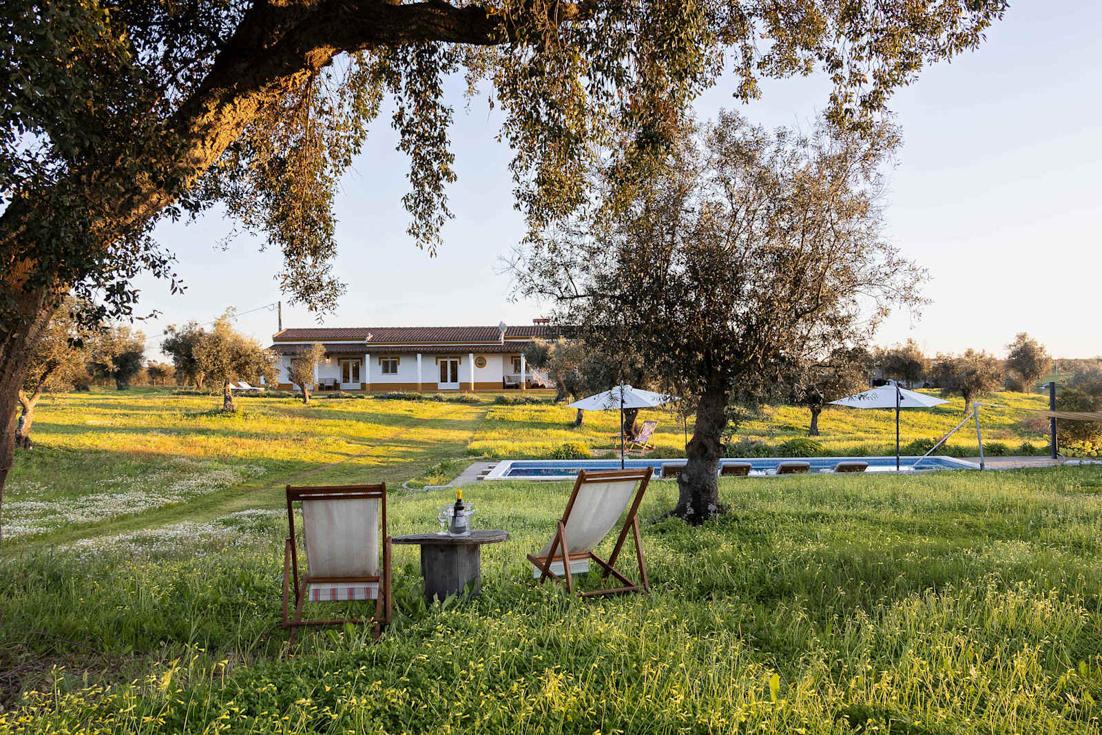 Alentejo Rural Farmhouse with Heated Pool & Total Privacy – luxury villa in Alentejo, Portugal – image 48